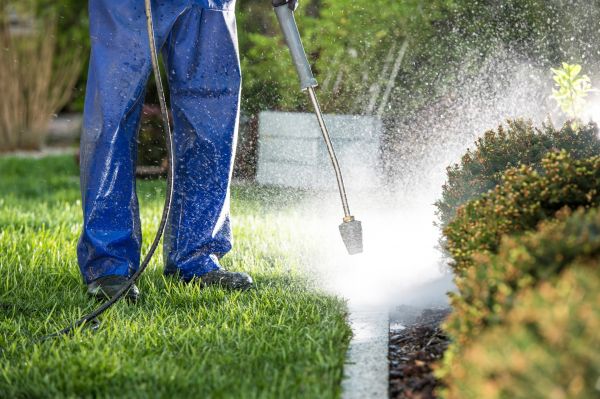 Curb Cleaning in Palm Bay