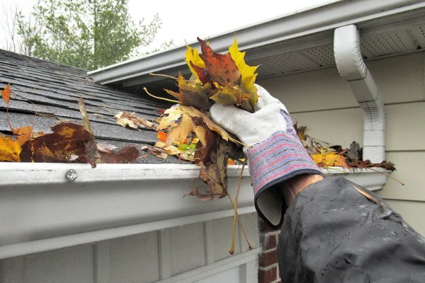 Eaves Cleaning in Palm Bay