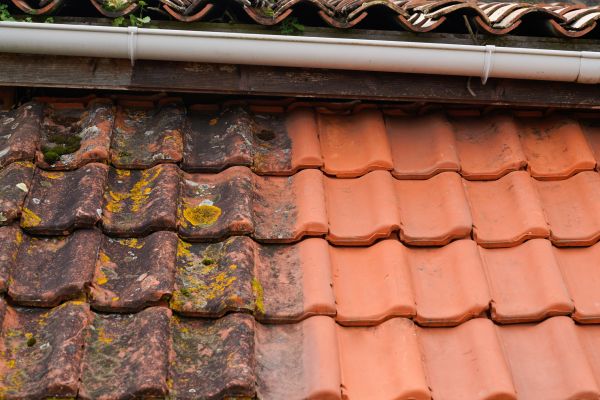 Industrial Roof Cleaning in Palm Bay