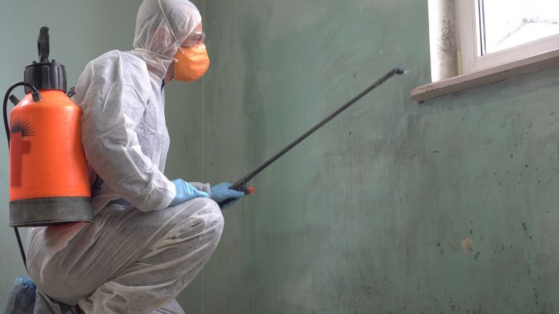 Mold and Mildew Treatment